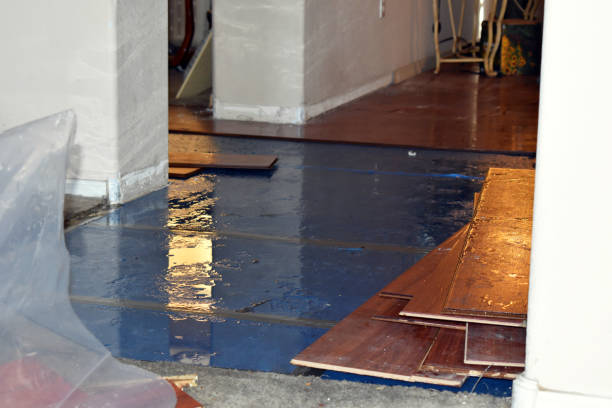 Professional Basement Flood Cleanup technician working in Inwood, IA